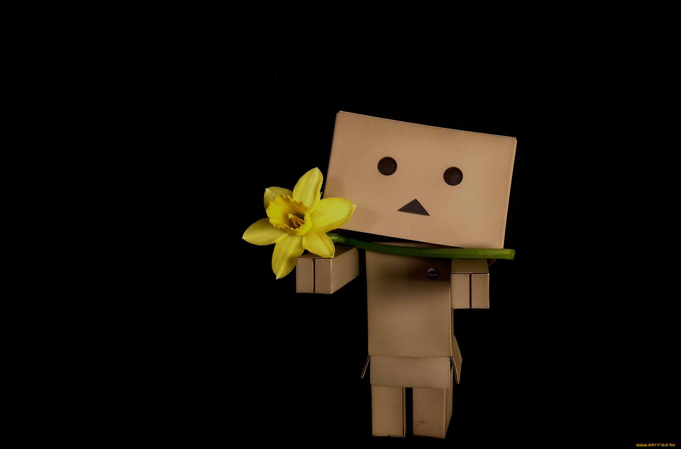 ,  , danboard, , , , , 
